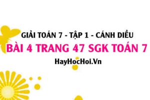 Giải bài 4 trang 47 Toán 7 Tập 1 SGK Cánh Diều